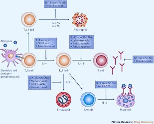 The potential of biologics for the treatment of asthma | Nature Reviews  Drug Discovery